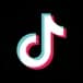 free-tiktok-profile-scraper